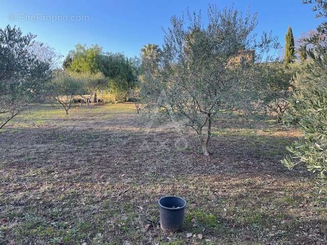 Terrain à CLERMONT-L'HERAULT
