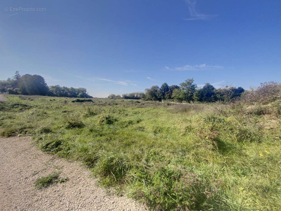 Terrain à BEAUGENCY