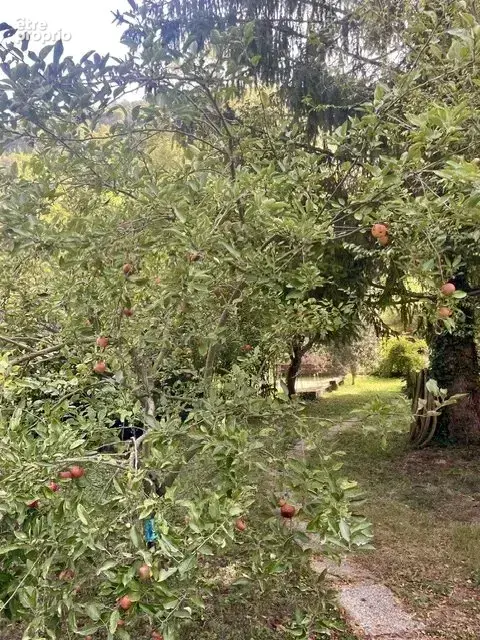 Maisonette à 20 minutes de Nice - photo 11