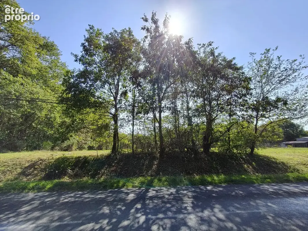 Terrain constructible avec chemin vers parcelle de bois - photo 4