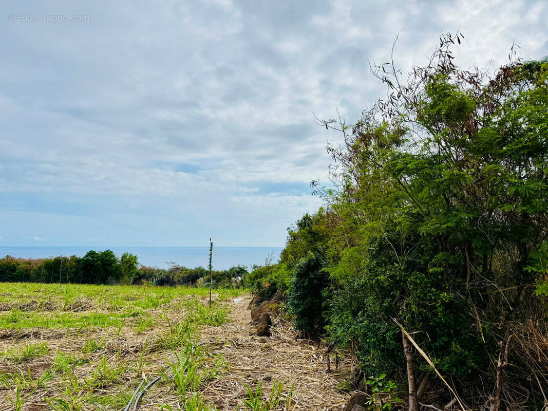 Terrain à SAINT-PIERRE