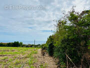 Terrain à SAINT-PIERRE