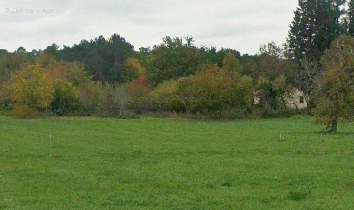Terrain à SAVIGNAC-LES-EGLISES