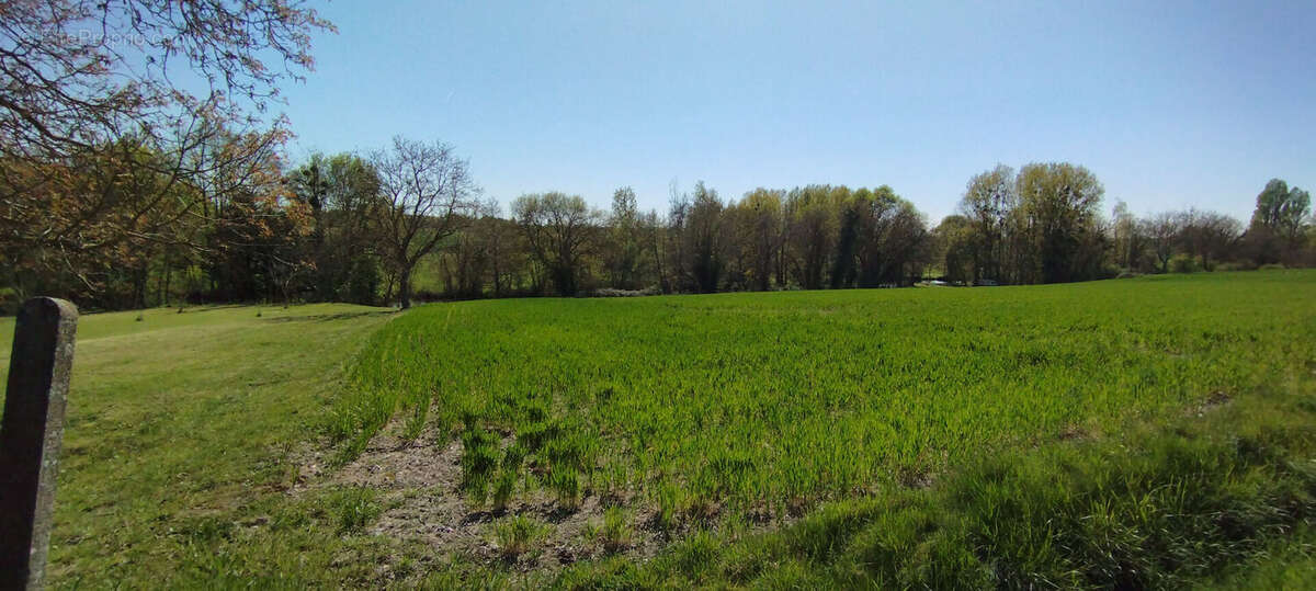 Terrain à MARTIZAY
