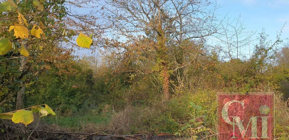 Terrain à BREUILLET