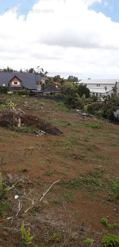 Terrain à LE TAMPON