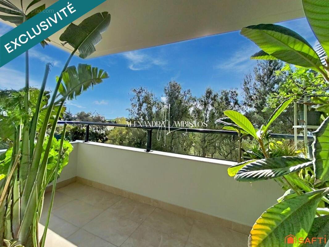 Photo 1 - Appartement à MONTPELLIER