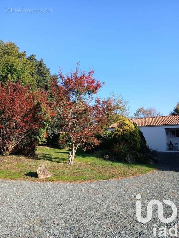 Photo 4 - Maison à DOMPIERRE-SUR-YON