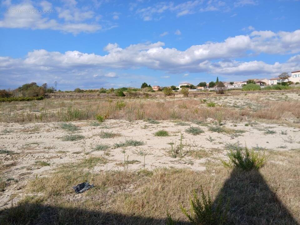Terrain à LOUPIAN