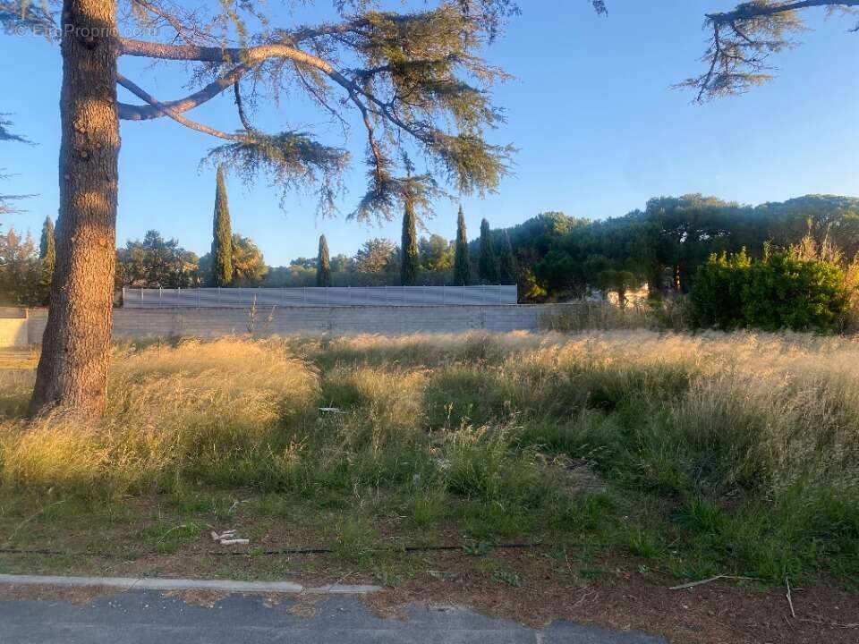 Terrain 607 m² à Narbonne  - photo 2