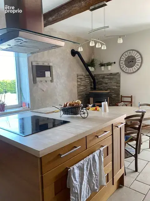 Maison 227m2 + appartement loué + terrain 7600m2 + piscine - photo 28