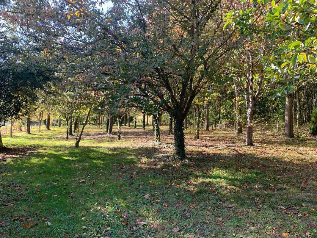 Maison à YVRE-LE-POLIN