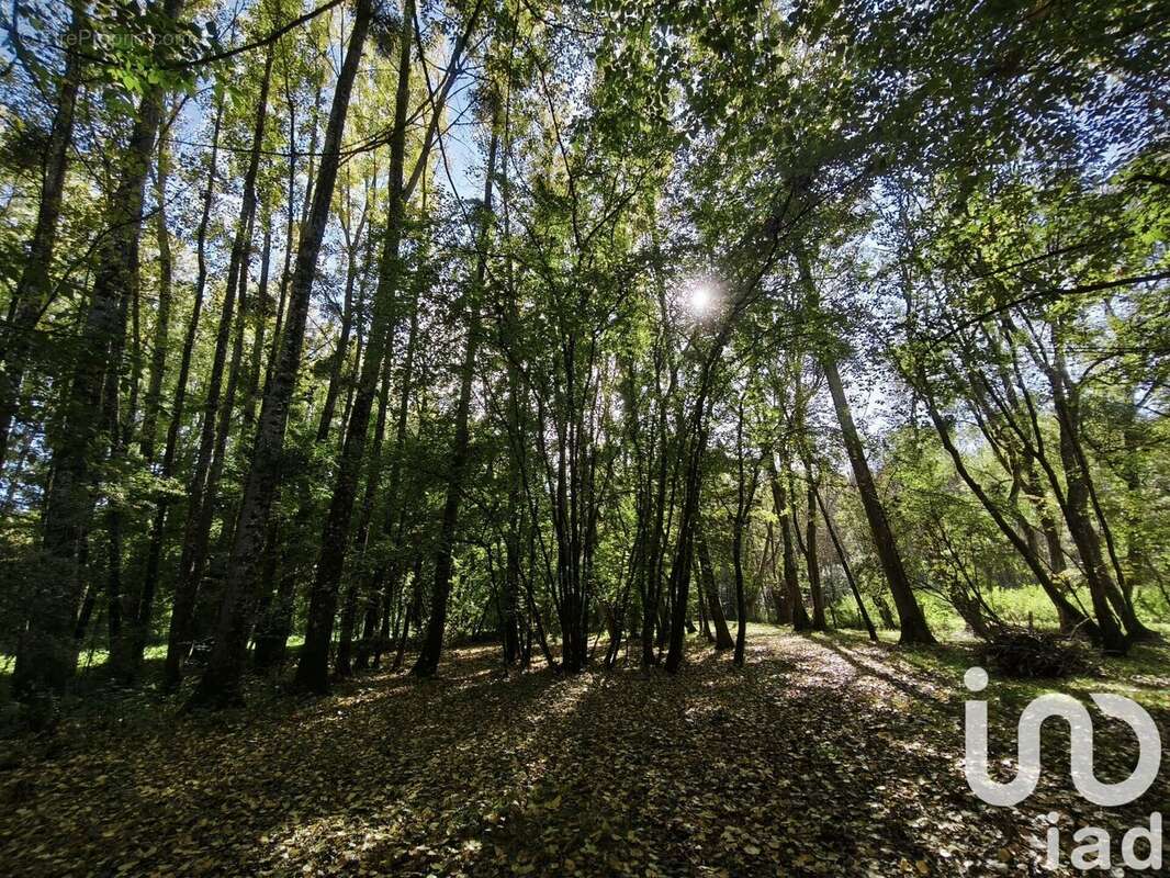 Photo 4 - Terrain à LA VERNELLE