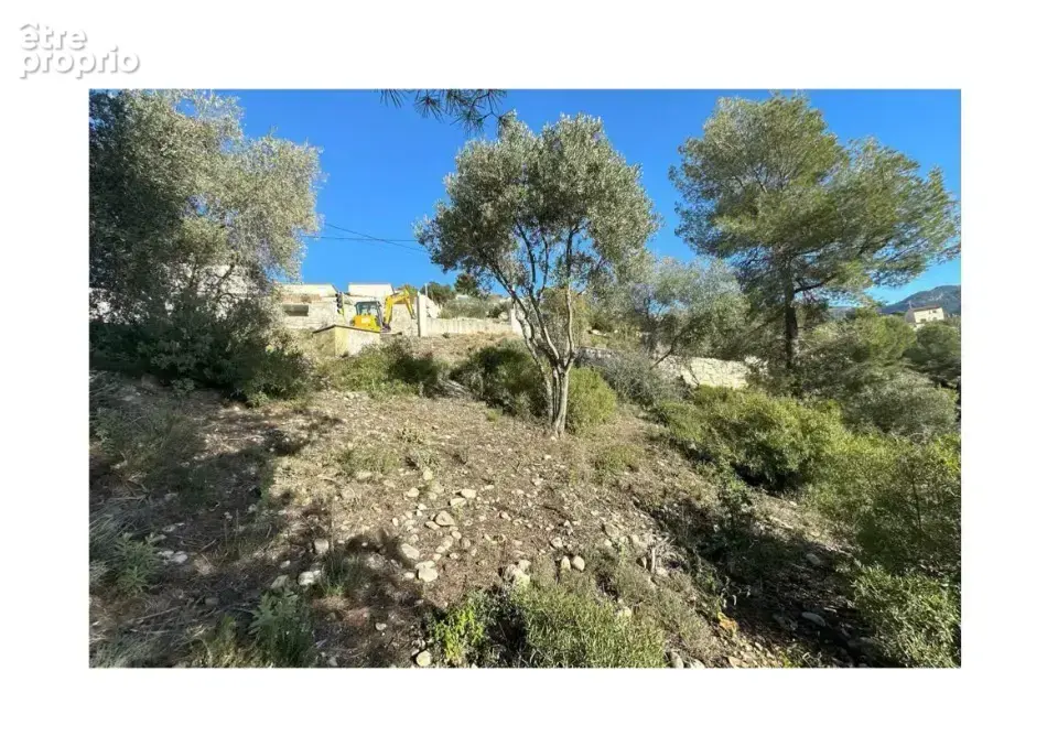 Terrain à SAINT-MARTIN-DU-VAR