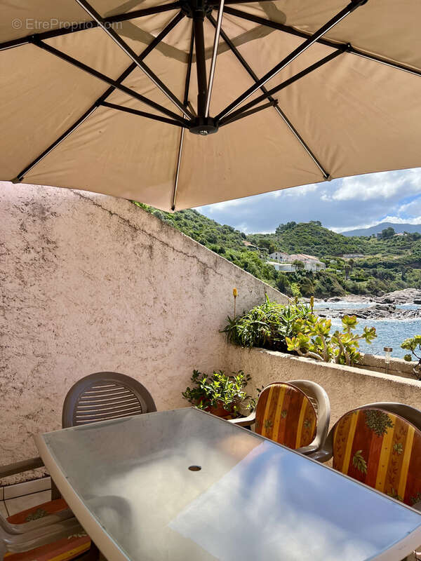 Appartement terrasses vue mer - photo 31