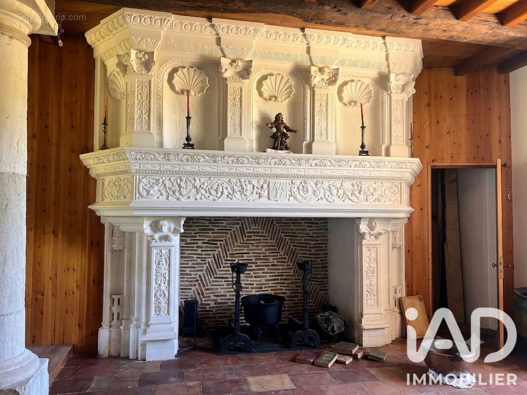 Maison 302 m² à Mussidan  - photo 6