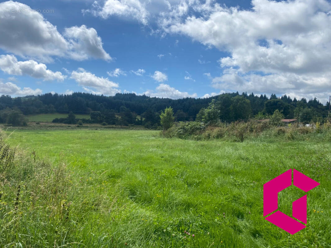 Terrain à MERLE-LEIGNEC