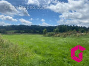 Terrain à MERLE-LEIGNEC