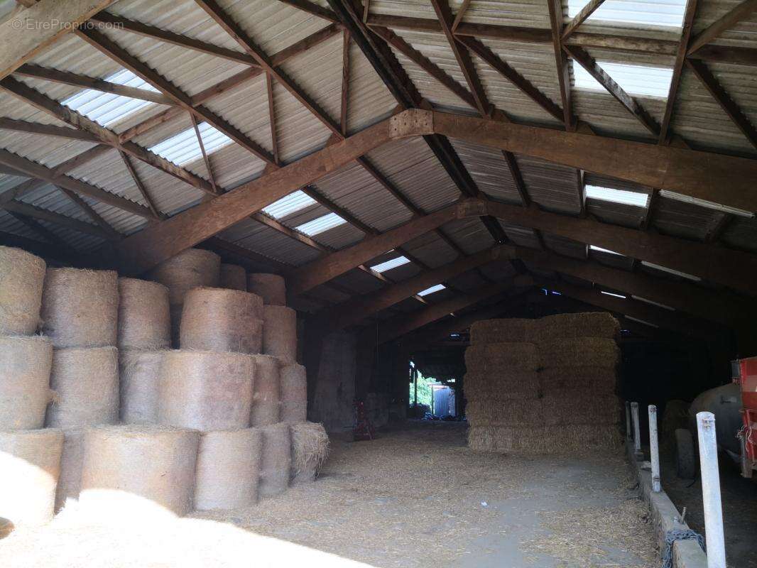 Découvrez ce joli corps de ferme isolé offrant un cadre exceptionnel et un potentiel rare, implanté sur 7,5 hectares de terrains - photo 8