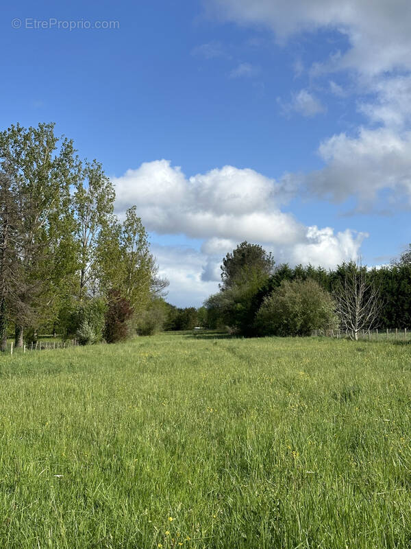 Terrain à LA ROCHE-CHALAIS