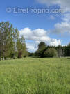 Terrain à LA ROCHE-CHALAIS