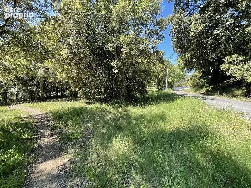 Terrain 1 932 m² à vendre à Les Cluses (66480) - photo 6