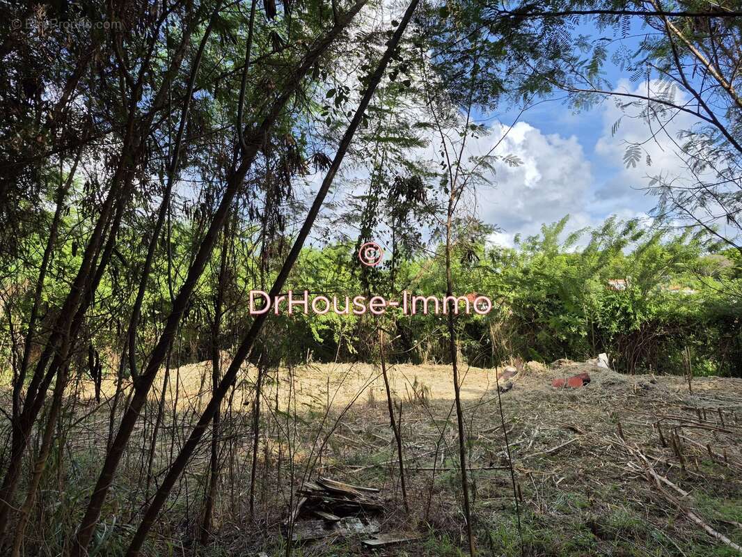 Terrain à LE VAUCLIN