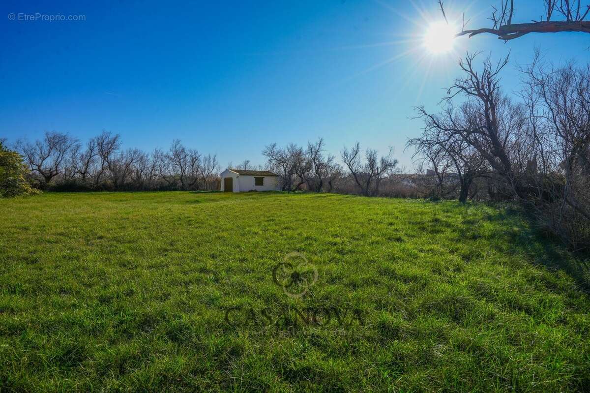 Maison à SAINTES-MARIES-DE-LA-MER