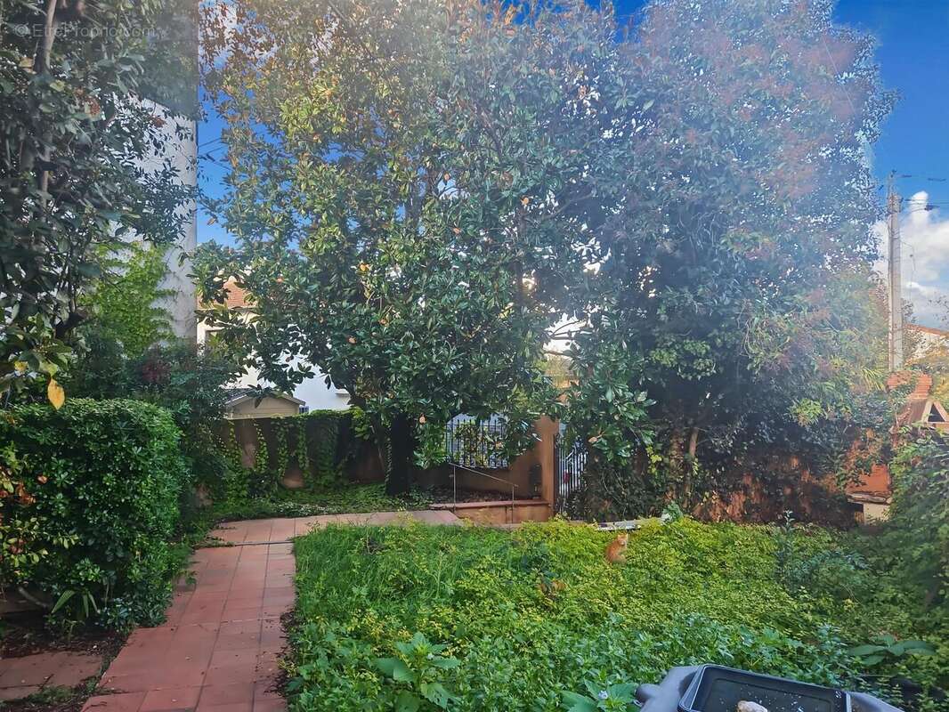 Photo 9 - Maison à TOULOUSE