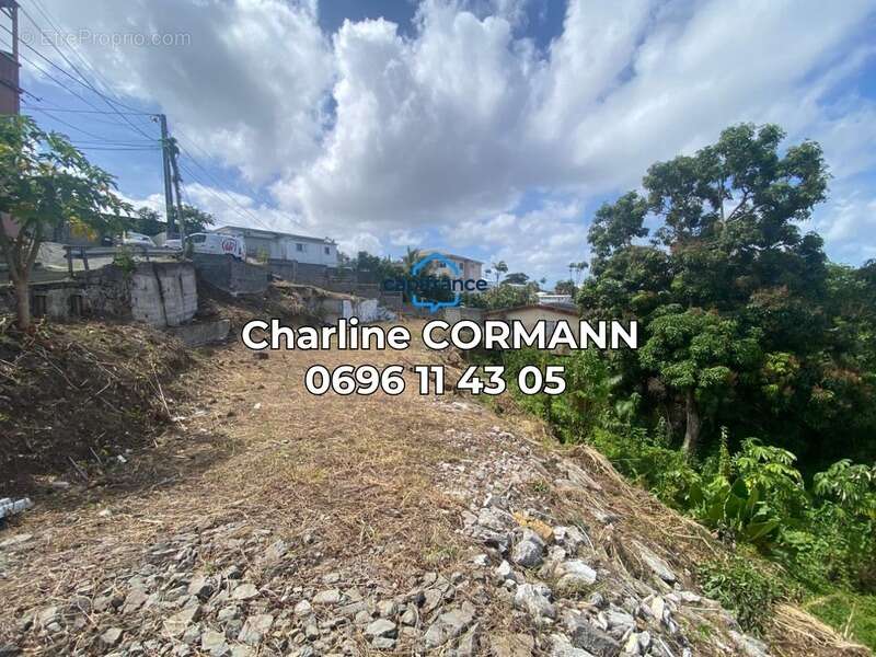 Terrain à vendre  FORT DE FRANCE (972) - photo 3