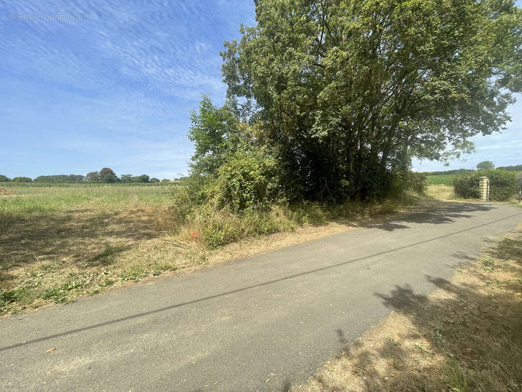 Terrain à CHEMIRE-LE-GAUDIN