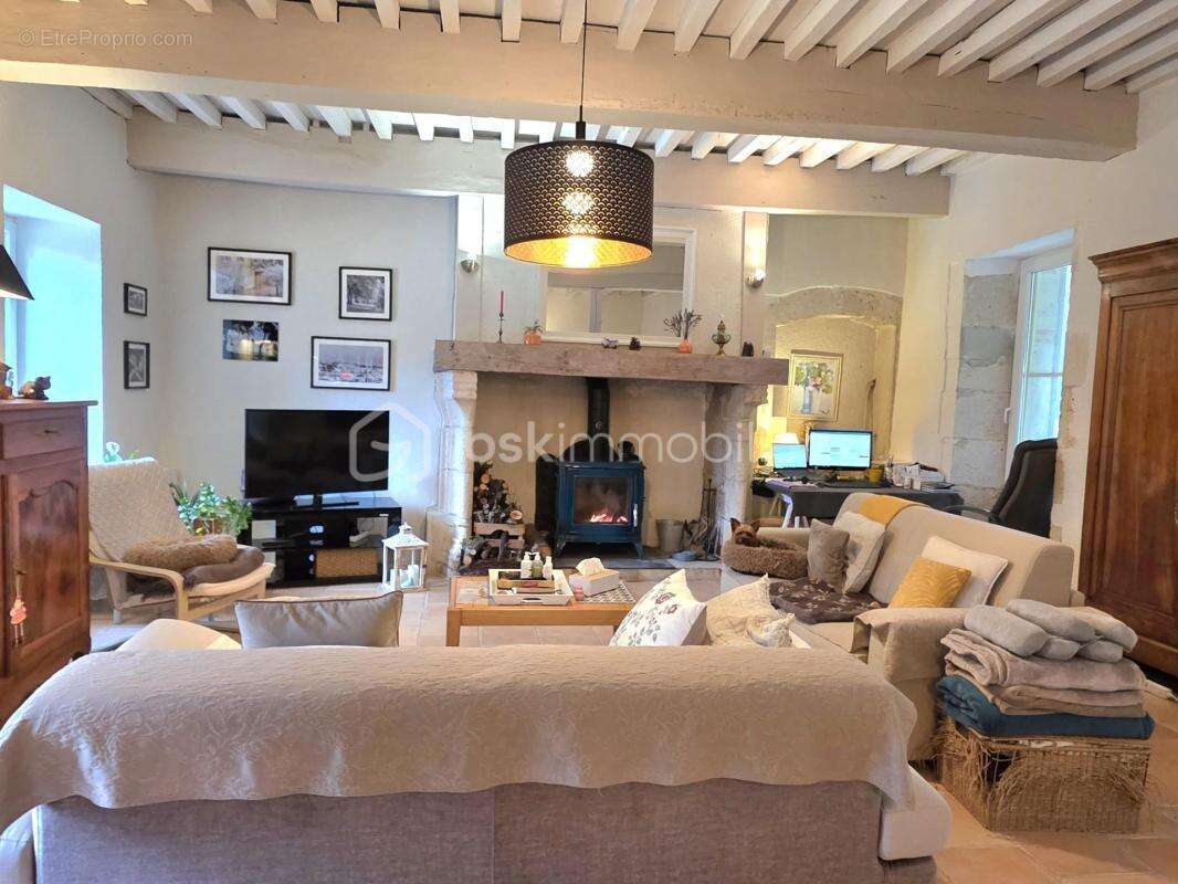 Maison en pierre + gite - etang- 2 piscines- parcelle 8745 m² -st pierre de clairac - photo 8