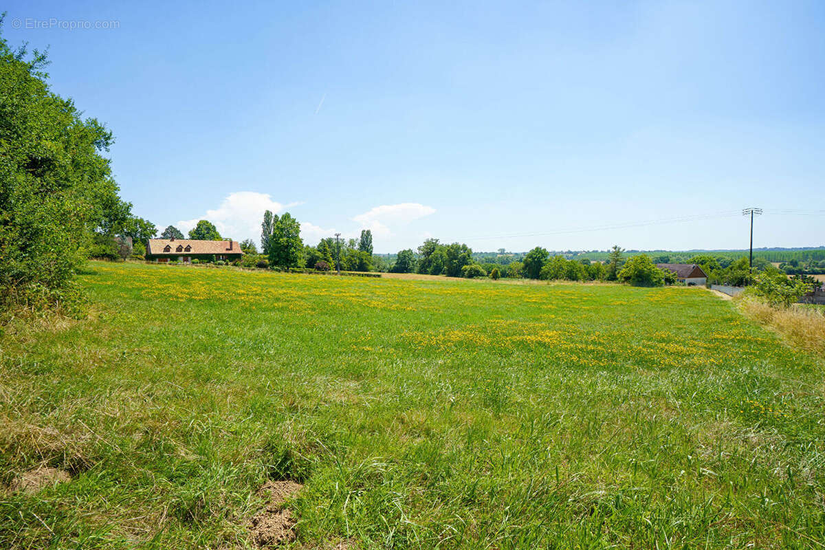 Terrain à bâtir/lotir LOISY - 7061m² - photo 3