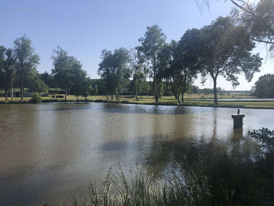 Etang - photo 3