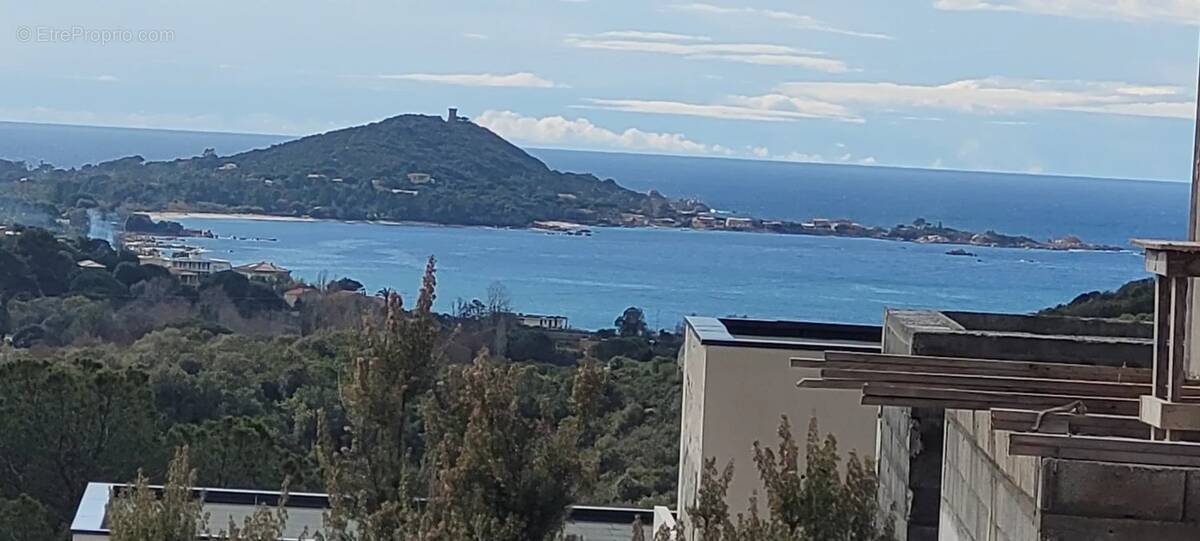 Terrain à PIETROSELLA