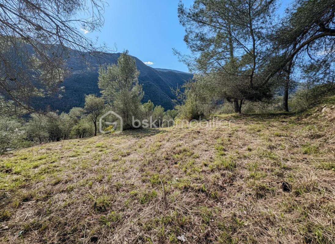 Rare à Pierrefeu : 3 046 m² de nature dont 1 084 m² constructibles, accès direct et étude de sol déjà réalisée - photo 5