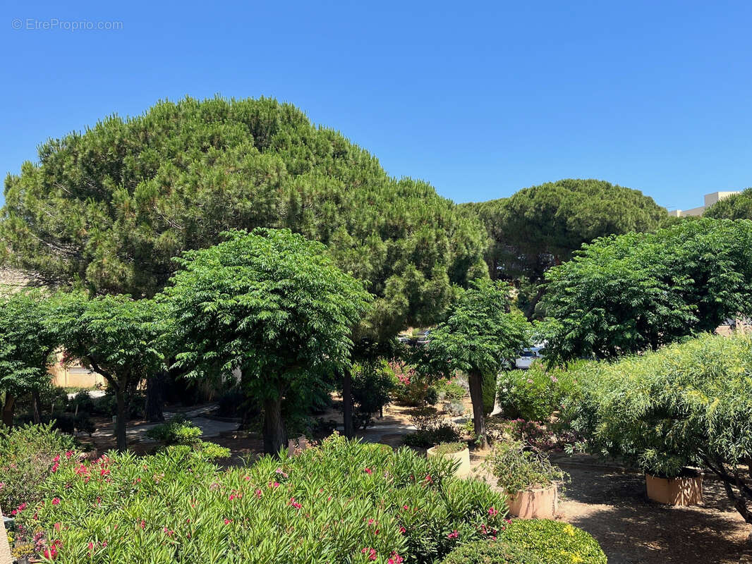 Appartement à BORMES-LES-MIMOSAS