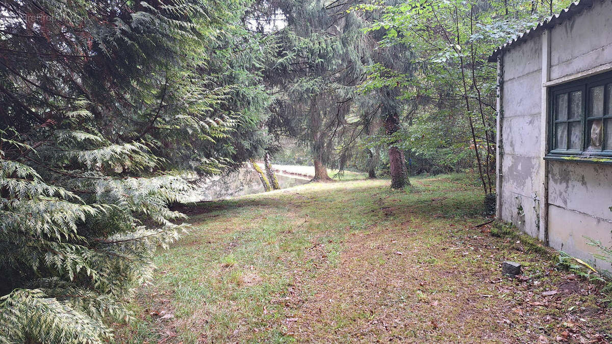 20250925_151821 - Terrain à PIEGUT-PLUVIERS