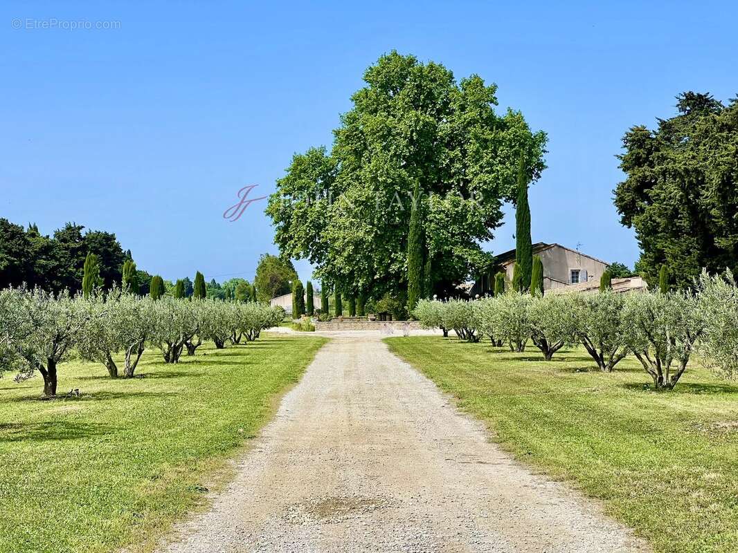 Un mas d'exception aux portes du Luberon. - photo 3