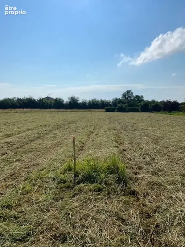 Terrain 1 820 m² à vendre à Champdieu (42600) - photo 2