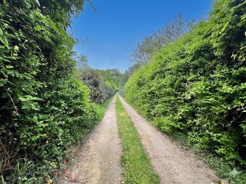 Propriété de charme bord de riviére 242m² - photo 19