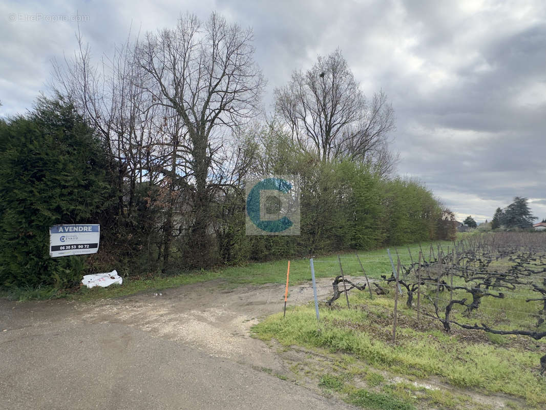 Terrain à PREVESSIN-MOENS