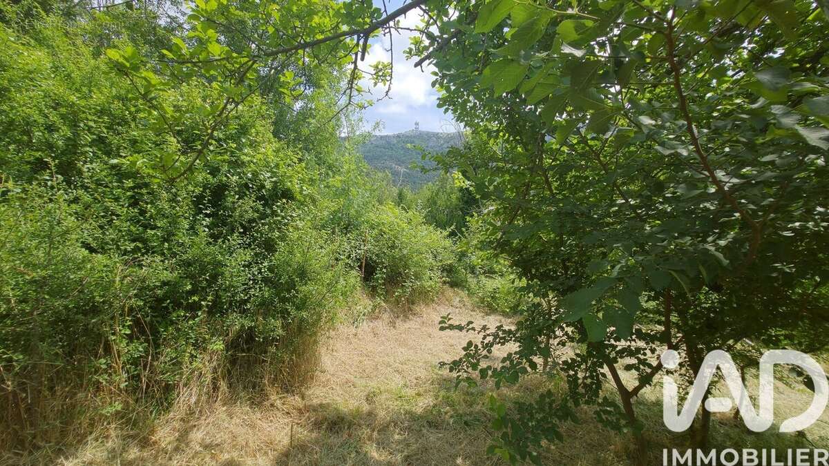 Photo 4 - Terrain à PLAN-D'AUPS-SAINTE-BAUME