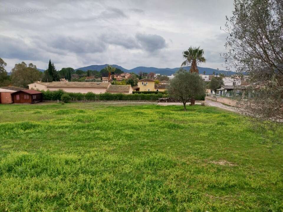Terrain à ROQUEBRUNE-SUR-ARGENS