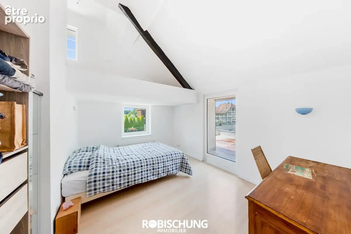 Secteur DANNEMARIE à TRAUBACH LE BAS : Ensemble immobilier plein de potentiel ! - photo 5