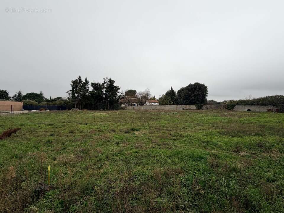 Terrain 650 m² à Moussoulens  - photo 2