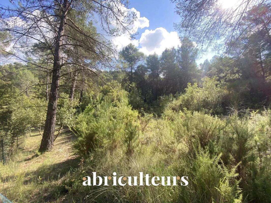 Terrain constructible de 2 653 m² - La-Roque-d'Anthéron (13640) - photo 2