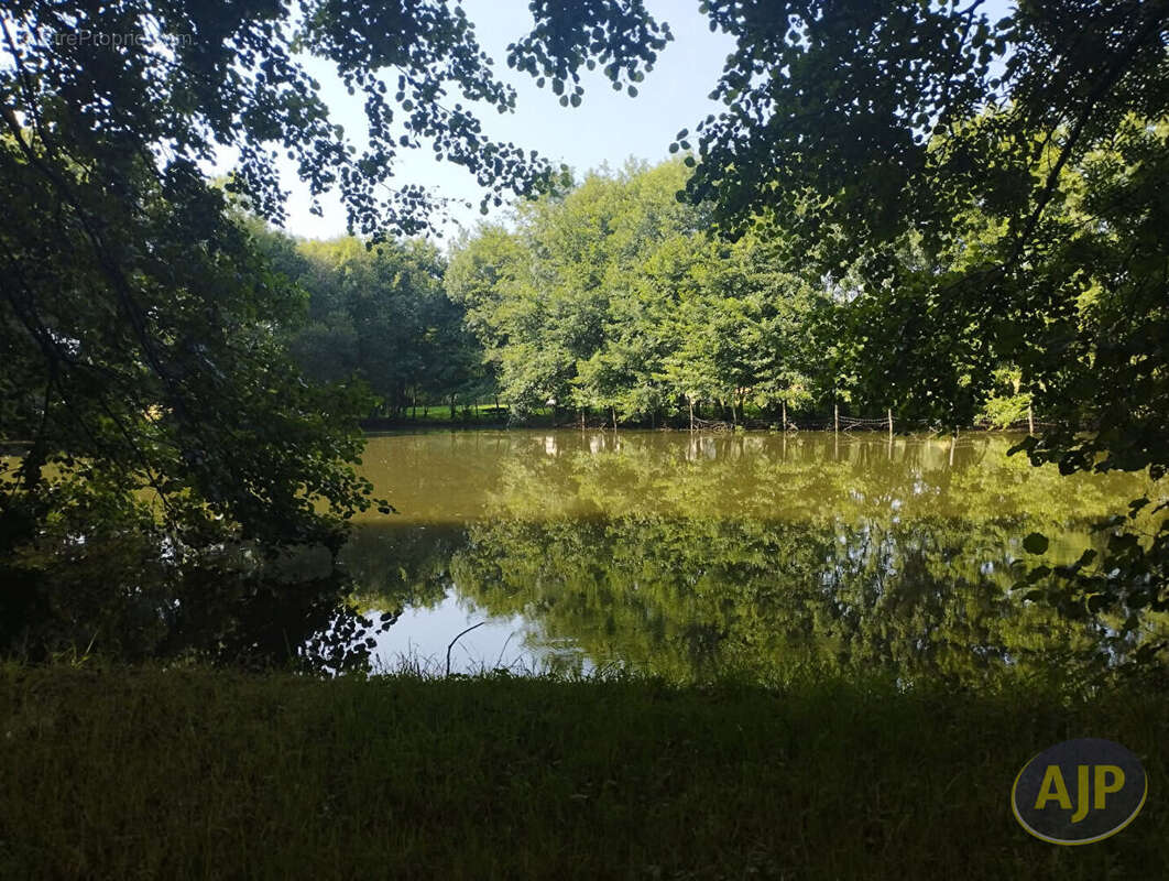 Terrain à SAINT-ANDRE-DE-LA-MARCHE