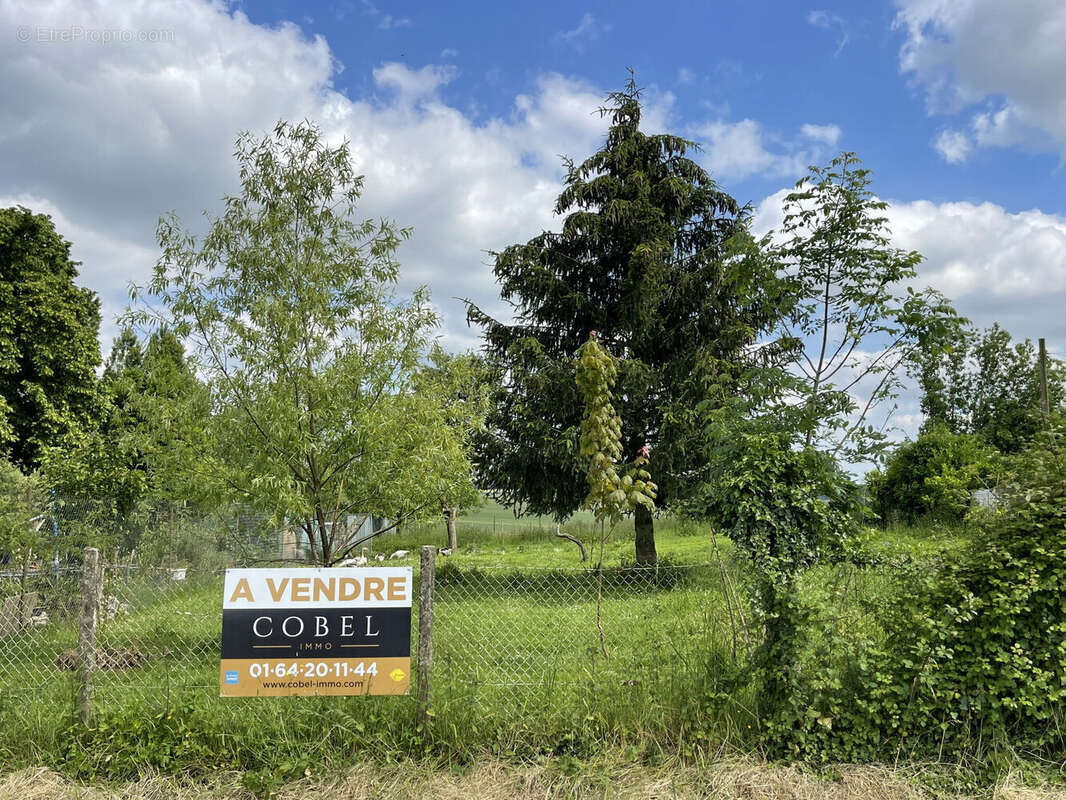 Photo 3 - Terrain à LA FERTE-GAUCHER