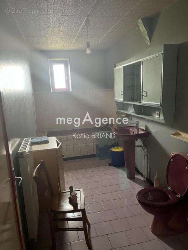 Maison et bâtiment sur Laval, terrain de 10780 m² - photo 7